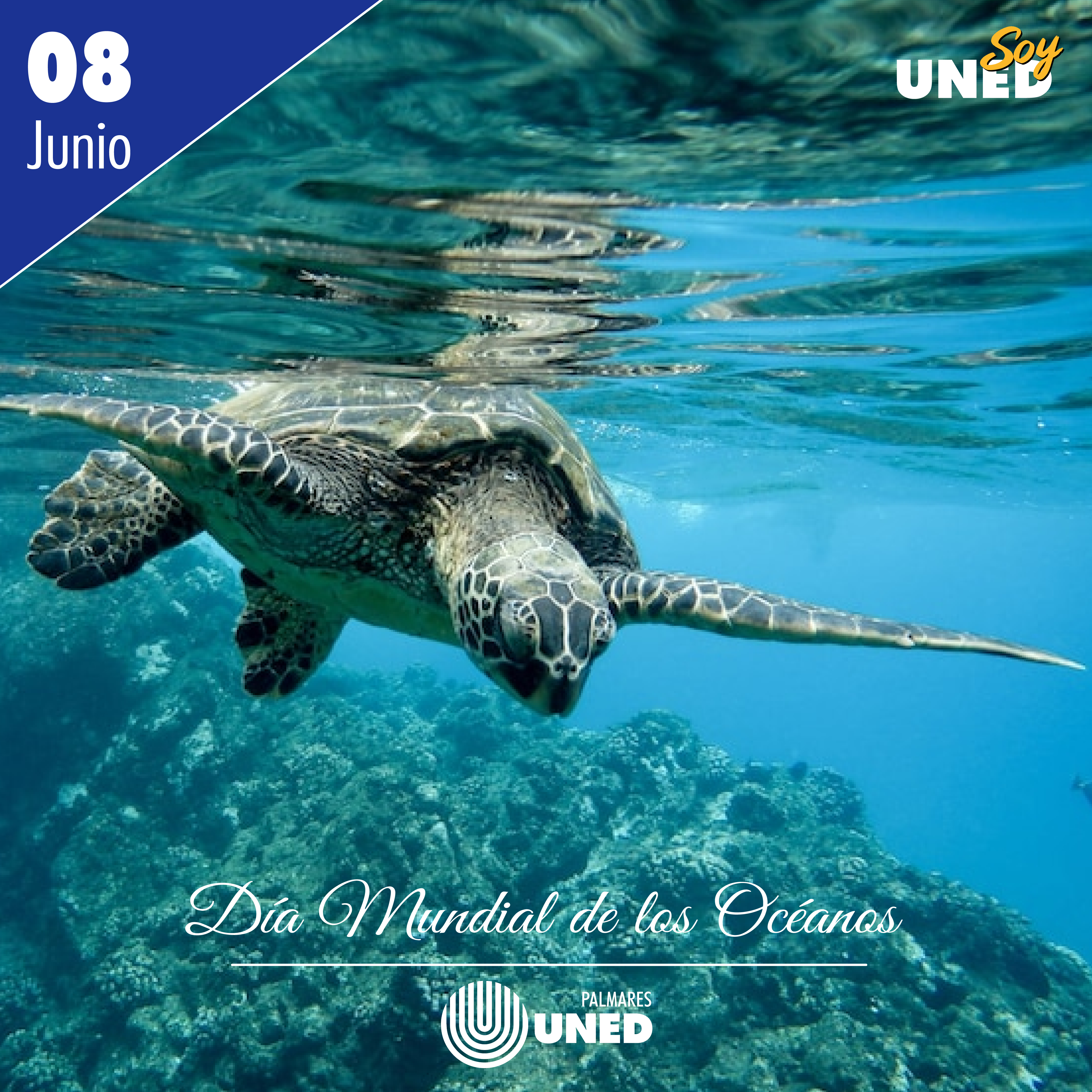 40 Día Mundial de los Océanos