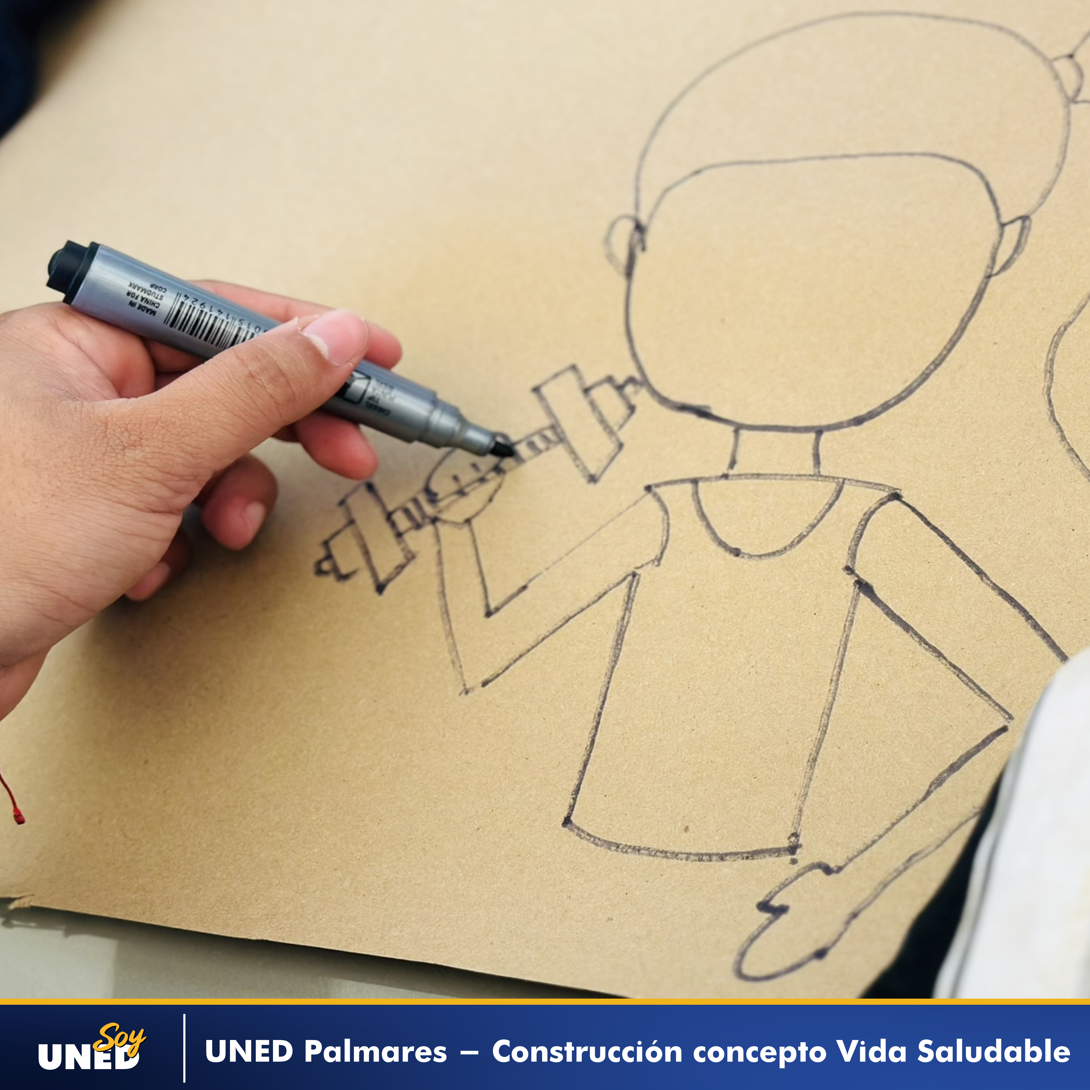 013 Construcción del Concepto Vida Saludable