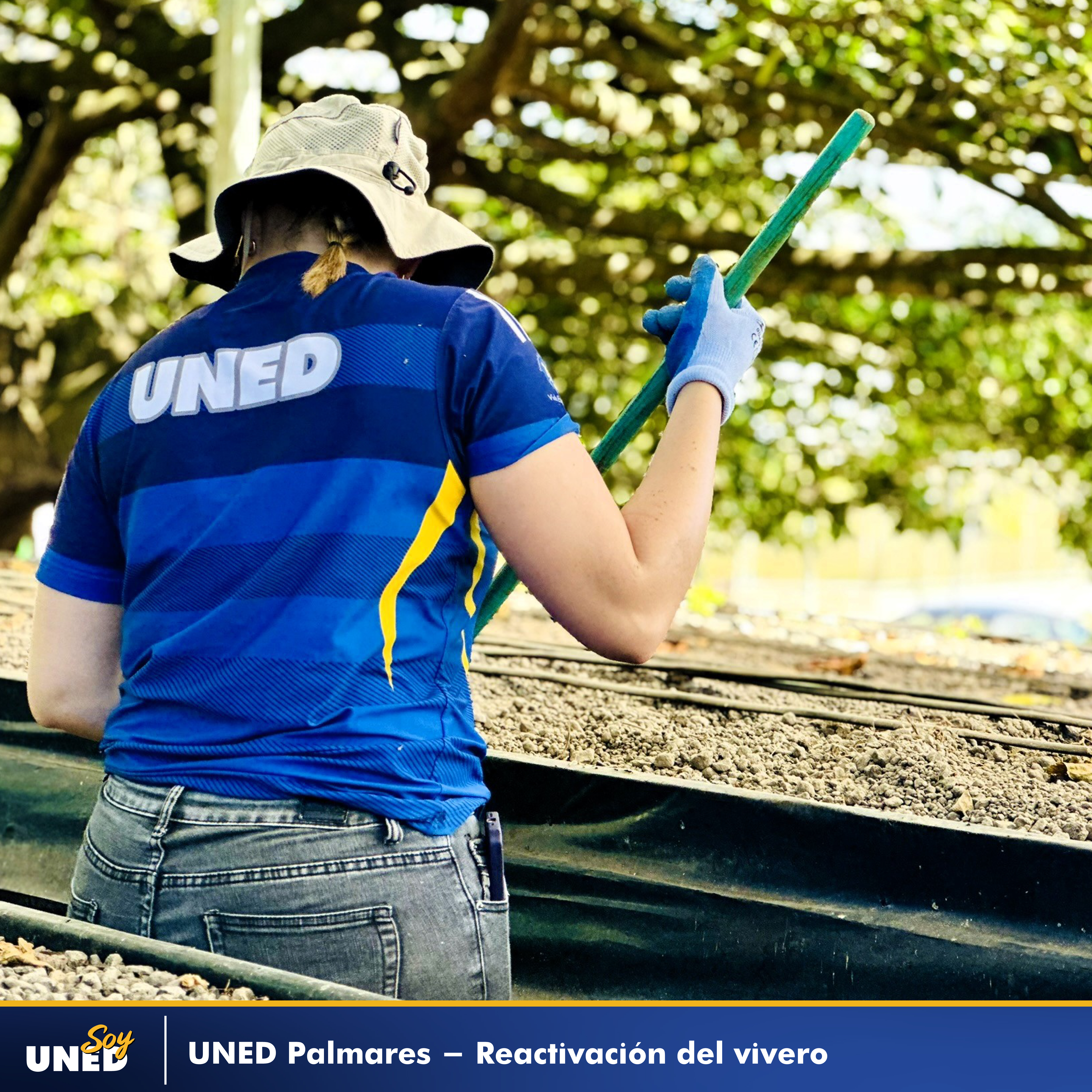 017 Primera etapa de reactivación del vivero