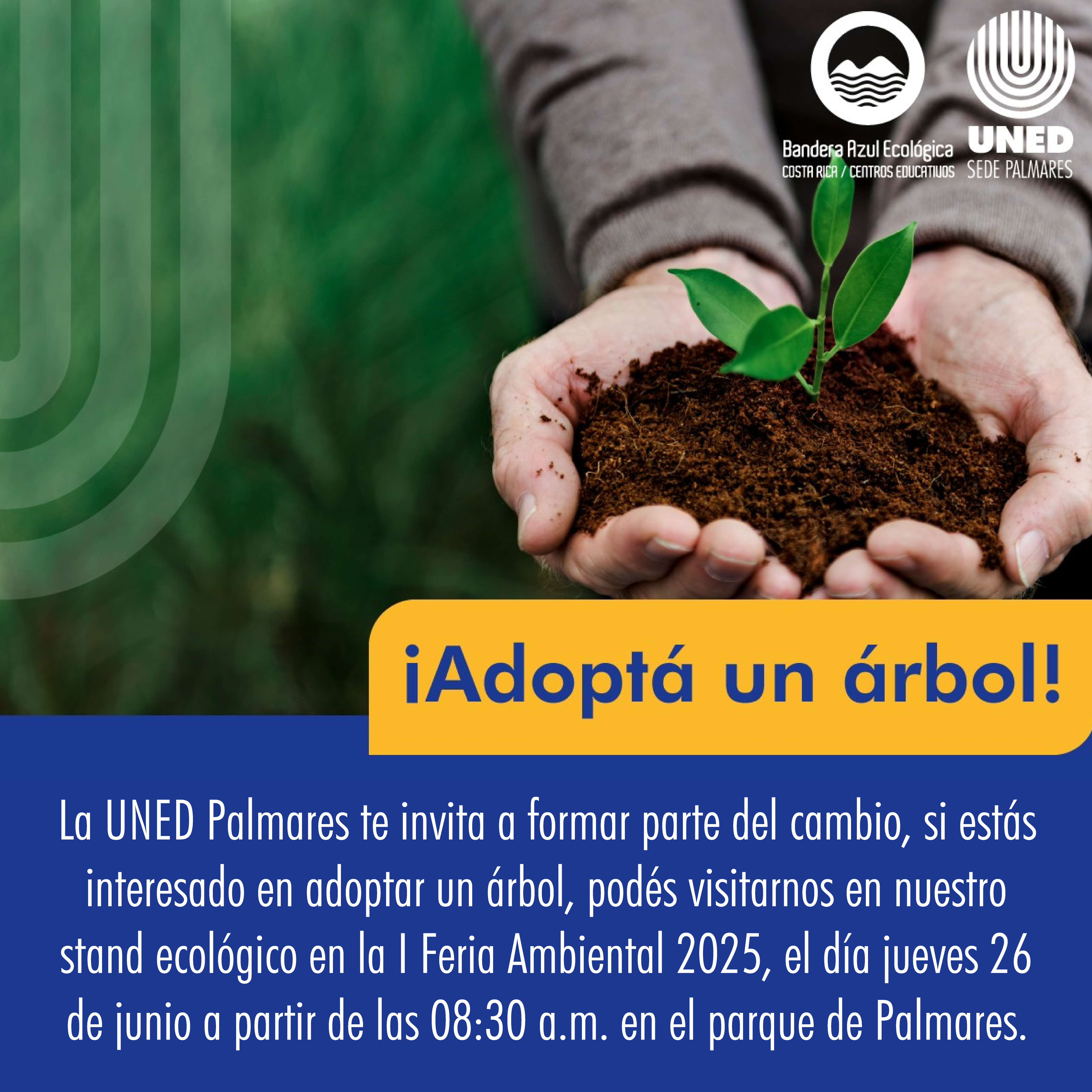 046 Adoptá un árbol