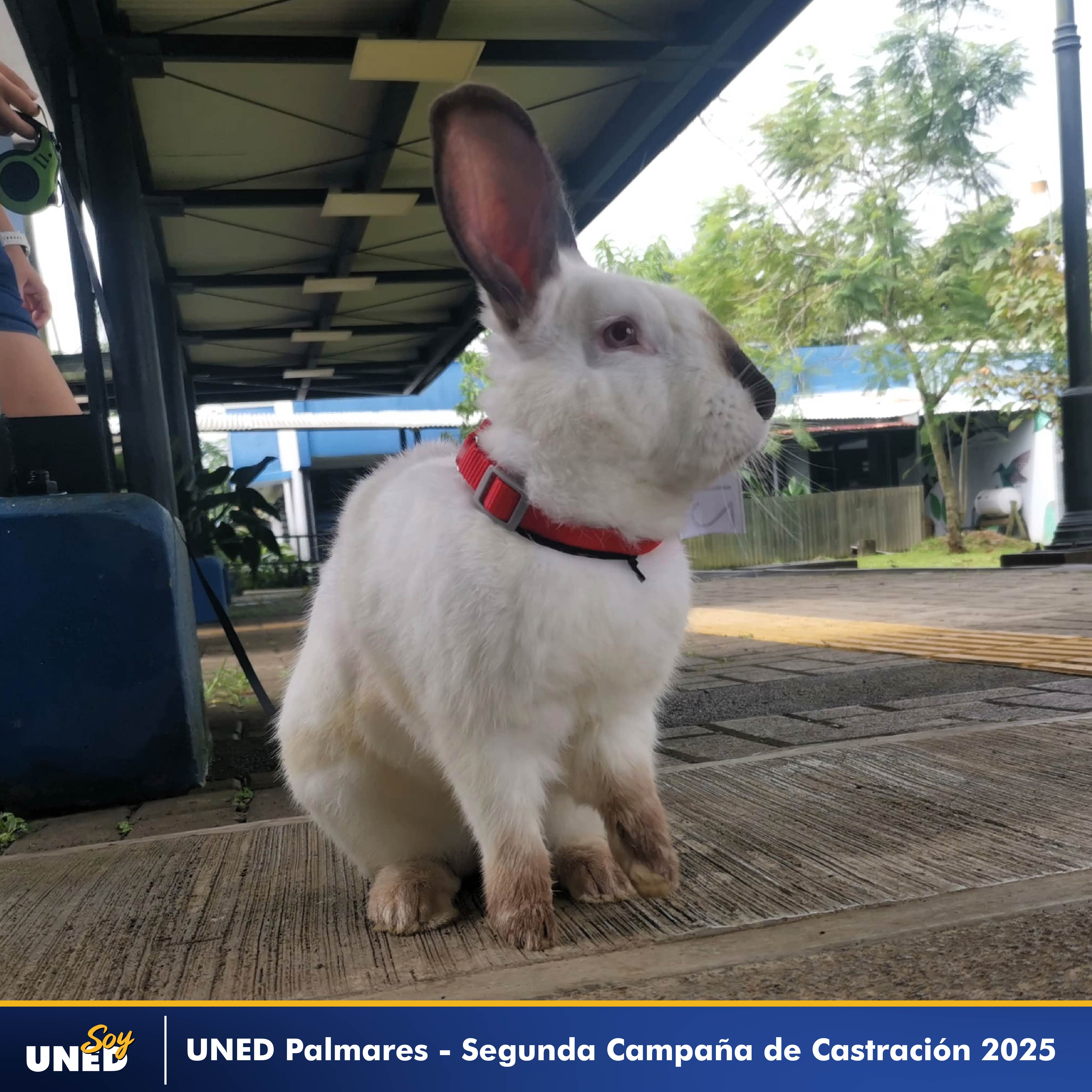 076 II Campaña de Castración 2025