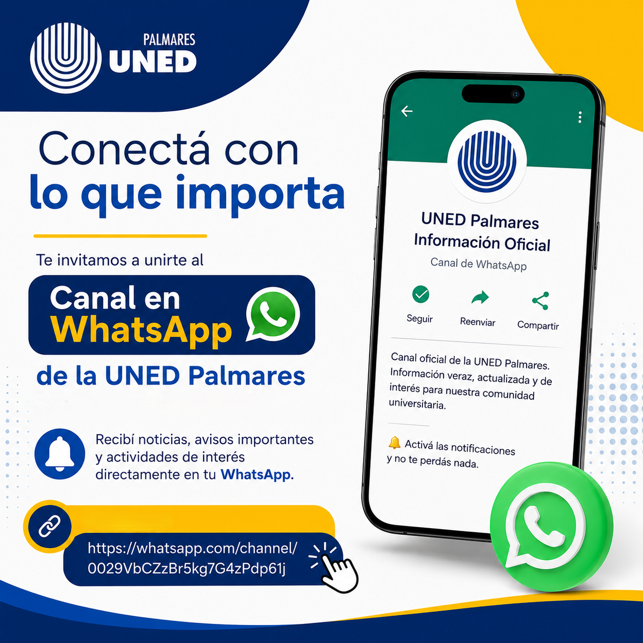050 Canal Whatsapp