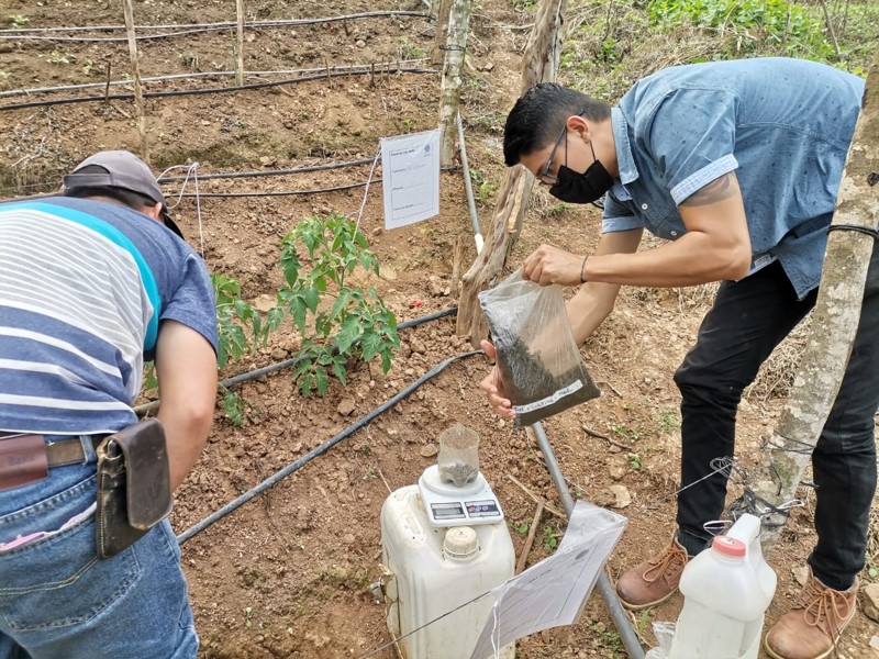 Personas trabajando en el campo