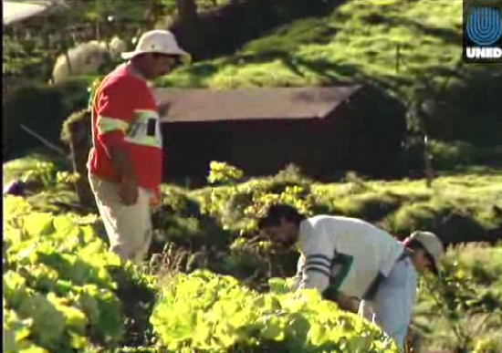 Recomendaciones Dia Del Agricultor Costarricense