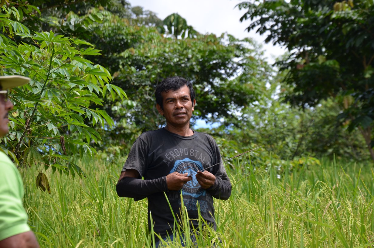 Agroproductor TI Bribri deSalitre