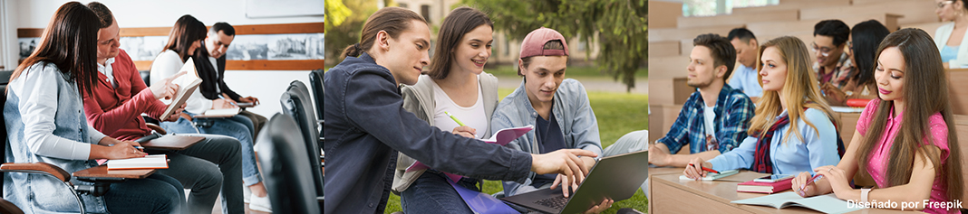 ZBL 2012 TIC Desercion 100