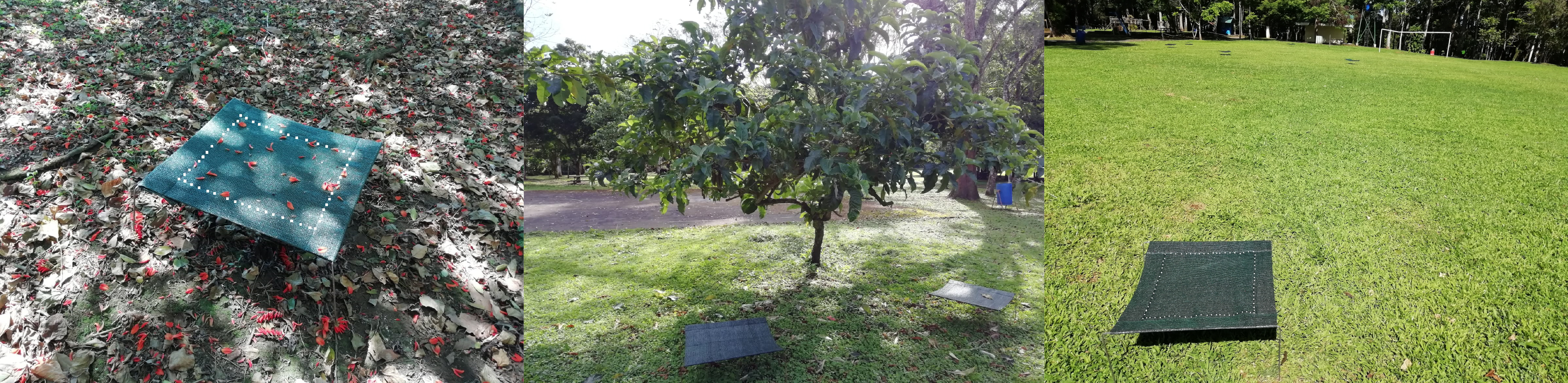 el tamano si importa