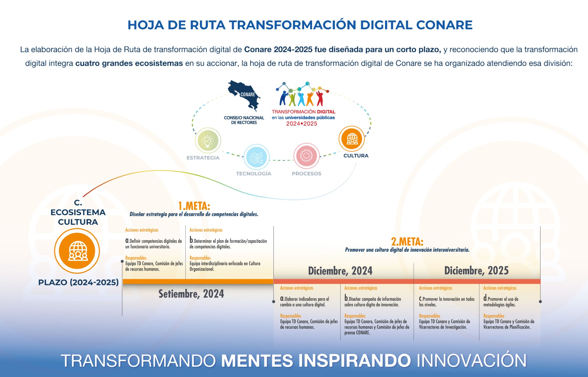 Infografía 4