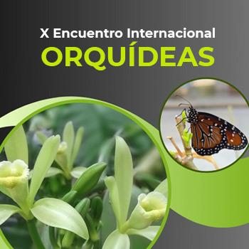 imagen de X Encuentro Internacional de Investigadores y Productores de Orquídeas